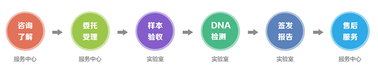 内蒙古隐私亲子鉴定流程